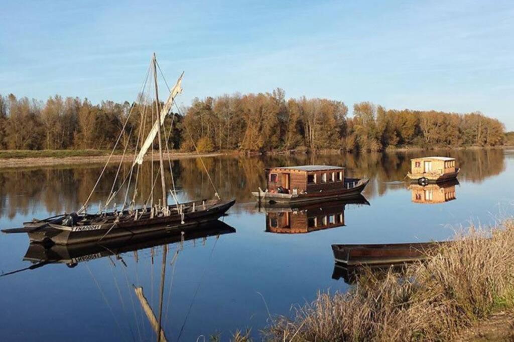 Saint-Dyé-sur-Loire Gite La Gabare Entre Loire Et Chambord 빌라 외부 사진